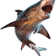 Illustration for article titled 'Shop Contest: SHARK!